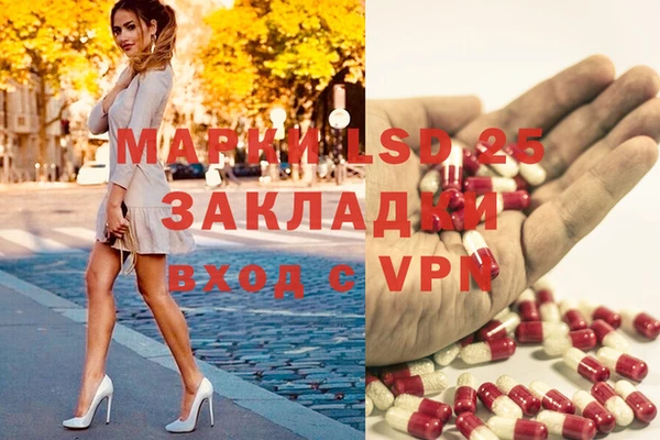 spice Вязьма