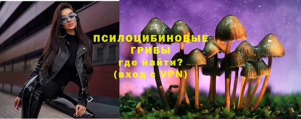 ешки Заволжье