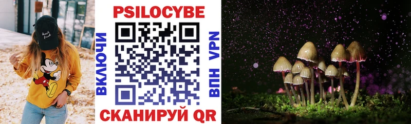 Галлюциногенные грибы Cubensis  Горбатов 